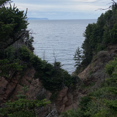 memories are the missed persisting