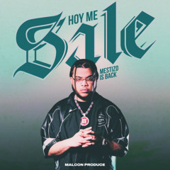 Hoy Me Sale