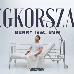 BERRY Ft. BSW - Jégkorszak ｜ Official Music Video