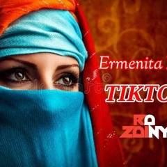 Ermenita Hoxha - Sekretet E Mia ( Dj Zainy Remix ) _ Dü Dü Du