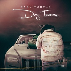 Baby Turtle - Dry Tears
