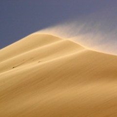 DESERT WIND
