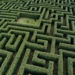 Mi Funk Es Tu Laberinto