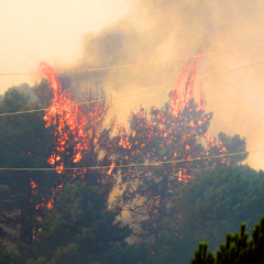 Summer On Fire