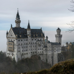 el circo de las maravillas