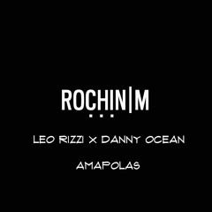 Leo Rizzi, Danny Ocean - Amapolas (ROCHINM REMIX)