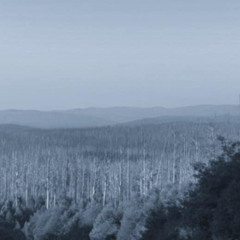 The lonely storm [Aethermelt]