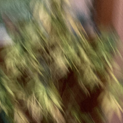 ey6s.wav