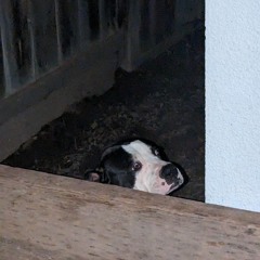 Exist In The Inbetween Pt. 2 (A Message from Hecate)