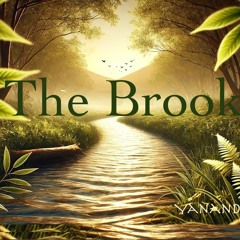 The Brook