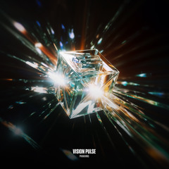 VISION PULSE