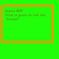 Session #197 - Vocals And Guitar Templates - Mostly Vocal With Presets - MAIN - 2