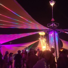 Excuse Me I'm With the DJ