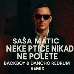 Sasa Matic - Neke ptice nikad ne polete (BackBoy & Dancho Redrum)