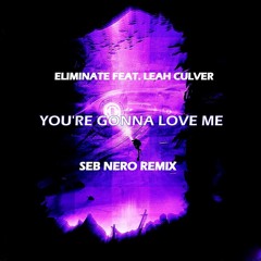 Eliminate feat. Leah Culver - You're Gonna Love Me (Seb Nero Remix)