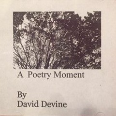 Walking The World Without A Net