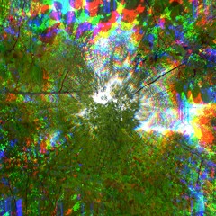 The River Will Never Run Dry