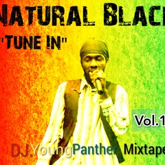 Natural Black Old School Mix By Dj.young Panther Vol.1