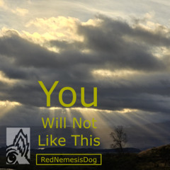 You Will Not Like This
