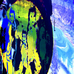 Birdwatching + mathematics (library mix)