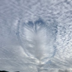 Fallstreak