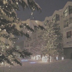 ✧Calm Playlist(⁎⁍̴̛ ₃ ⁍̴̛⁎)