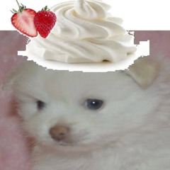 Zipper up prod. 001bitch