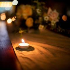 Muộn màng là từ lúc (Đức Trí) - Mèo