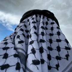 فلسطين٢