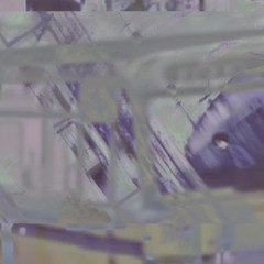 dgtl marmoset - excretion