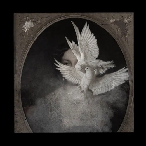 songs that won't save on my liked