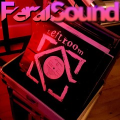 Feral Sound with Michael Brunner and Fox - 10 Mar 2023