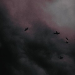 DUSK - CHELSEA WOLFE (Acoustic Cover)