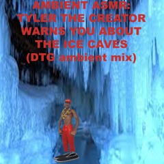 AMBIENT ASMR; TYLER WARNS YOU ABOUT THE ICE CAVES (DTG ambient remix)