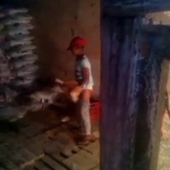4miyones tene est pinshi cancion////conprtir////1miyon d m fasina