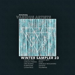 Various Artists - Winter Sampler 23' [WHLTD206]