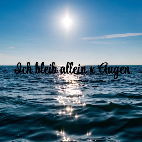 Ich bleib allein x Augen [HRDTKK REMIX//ONE PATTERN]