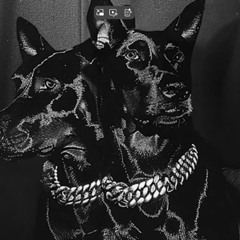 NTO Ft. Sofiane Pamart - Nevado Sorata (Slowed x Pitched)