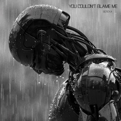 Boticka - You Couldn't Blame Me (FREE DL)