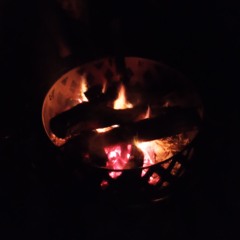 The Sick (Prod. @donotdisturbgov + @differentmoney)