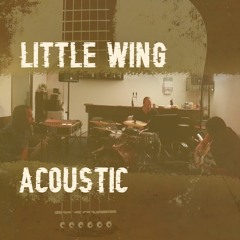 Little Wing - Acoustic