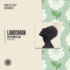 NWD PREMIERE | Landsman - Deep Down & Side [Desert Vision]