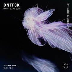 DNTFCK on Internet Public Radio - KOI & Xiao Quan