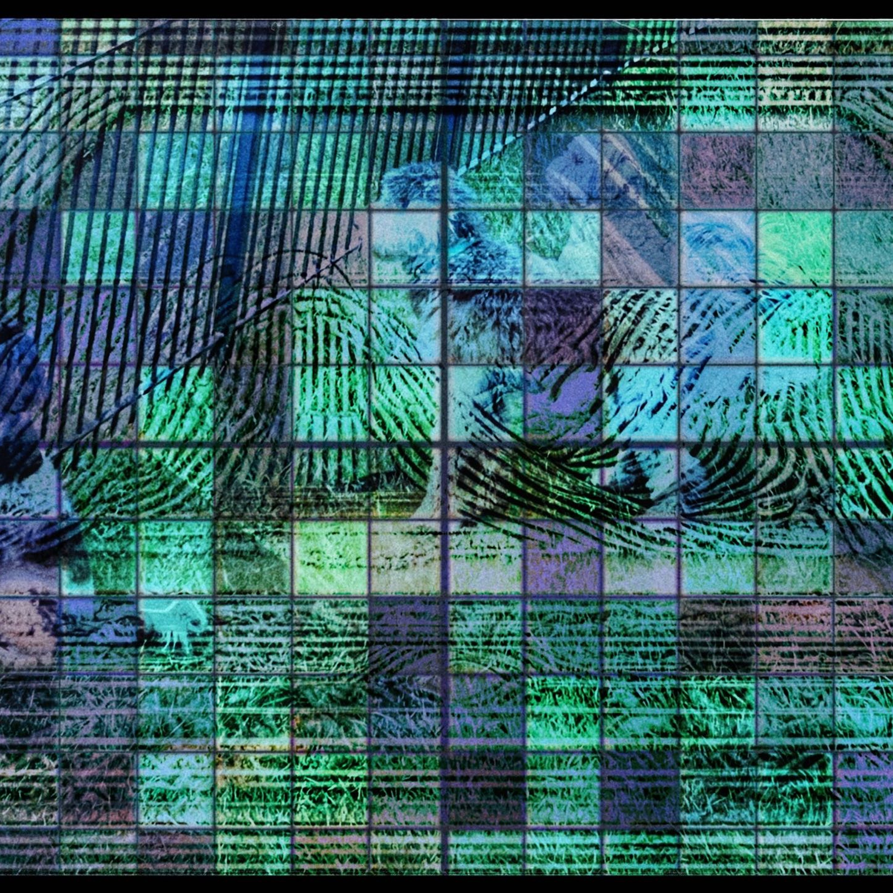 DIGITSPINNER episode artwork