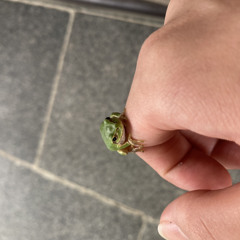 외계인 쉐에에ㅔ끼