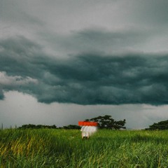 purified zone (demo)