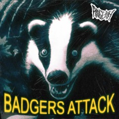 Badgers Attack