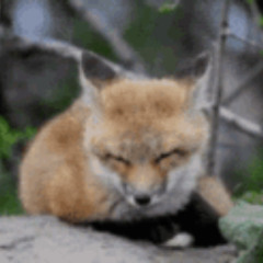 november clips 2025 w/ quisworldwide + blizzymp3 + fr4ud + ohtee