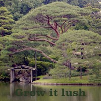 Matteo Franchi - Grow It Lush