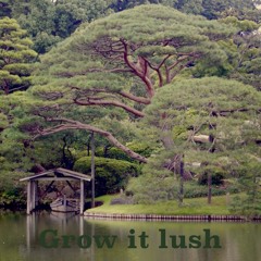Grow It Lush